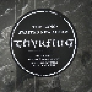 Thyrfing: Vanagandr (LP) - Bild 2