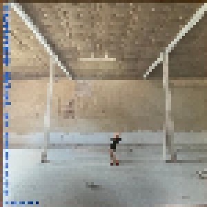 Torres: What An Enormous Room (LP) - Bild 1