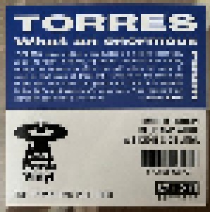 Torres: What An Enormous Room (LP) - Bild 2