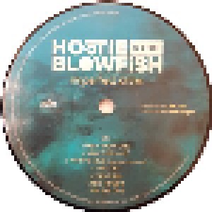 Hootie & The Blowfish: Imperfect Circle (LP) - Bild 3