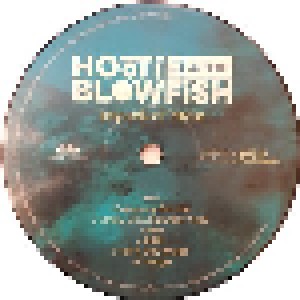 Hootie & The Blowfish: Imperfect Circle (LP) - Bild 4