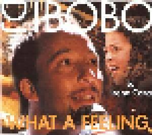 DJ Bobo & Irene Cara, DJ BoBo: What A Feeling - Cover