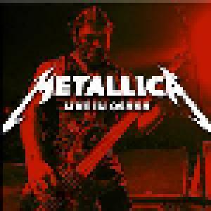 Metallica: August 11, 2013 - Osaka, Japan - Cover