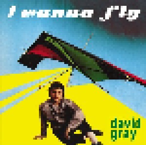 David Gray: I Wanna Fly (12") - Bild 1