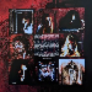 Arch Enemy: Wages Of Sin (LP) - Bild 4