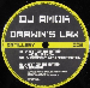 Cover - DJ Amok: Darwin's Law