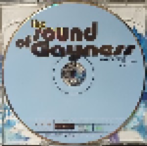 The Sound Of Gayness - Glamorous DJ-Mix (2-CD) - Bild 3