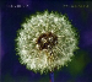 The Bevis Frond: Focus On Nature (CD) - Bild 1