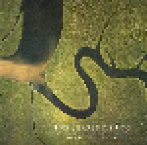Cover - Dead Can Dance: Serpent's Egg, The