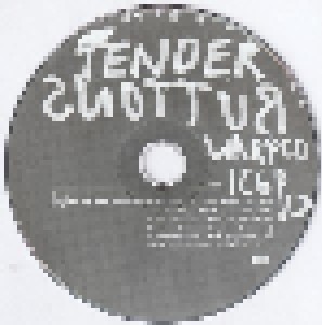 Broadcast: Tender Buttons (Promo-CD) - Bild 3