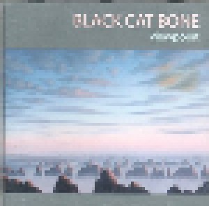 Cover - Black Cat Bone: Viewpoint