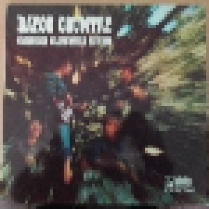 Creedence Clearwater Revival: Bayou Country (LP) - Bild 1