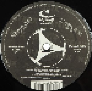 DJ Tocadisco: Nobody (Likes The Records That I Play) (12") - Bild 1