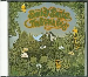 The Beach Boys: History Box Vol. 3: Pet Sounds / Smiley Smile - Wild Honey / Friends - 20/20 (3-CD) - Bild 7