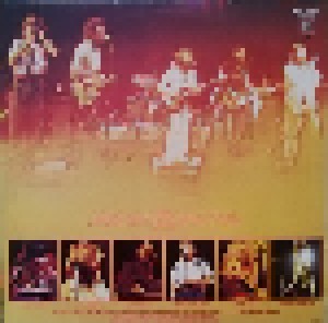 The Beach Boys: The Beach Boys In Concert (2-LP) - Bild 2