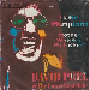 Cover - David Peel & The Lower East Side: I Like Marijuana