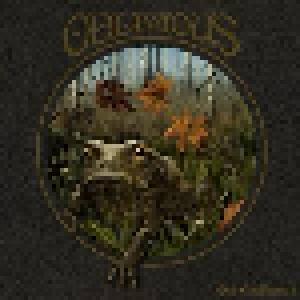 Oblivious: Out Of Wilderness - Cover
