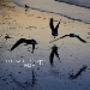 Tingvall Trio: Birds (CD) - Bild 1