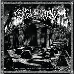 Cover - Geheimnisvoll: Endless Void Of Eternal Suffering And Enslavement, The