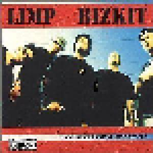 Limp Bizkit: Interview Sessions, The - Cover