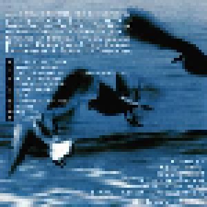 Jansen - Spilles: Speedwingsslowthings (CD) - Bild 4