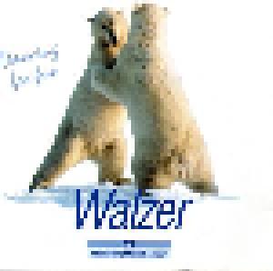 Dancing For Fun - Walzer - Cover