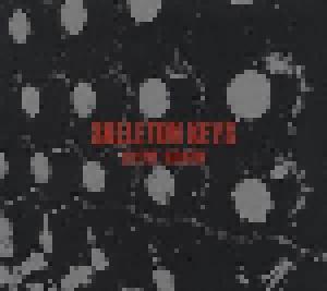 Steve Roach: Skeleton Keys - Cover