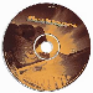 The Fleshtones: Beautiful Light (CD) - Bild 3