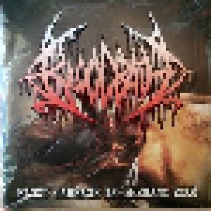 Bloodbath: Blood Carnage In Germany 2008 - Cover