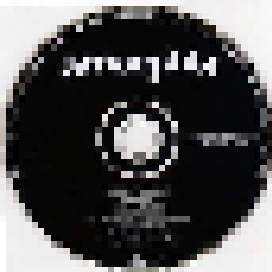 Amorphis: Silent Waters (Promo-Single-CD) - Bild 3