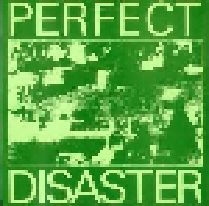 The Perfect Disaster: Perfect Disaster - Cover