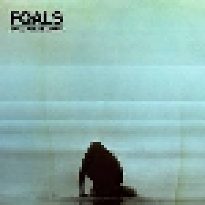 Foals: What Went Down - Cover
