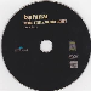 Jay Farrar: Stone, Steel & Bright Lights (CD + DVD) - Bild 5