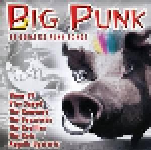 Big Punk - Cover