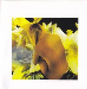 David Knopfler: Songs For The Siren (CD) - Bild 6