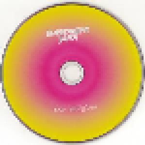 Basement Jaxx: The Singles (CD) - Bild 3