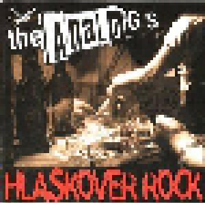 The Analogs: Hlaskover Rock - Cover