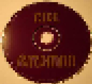 Ride: Birdman (Single-CD) - Bild 2