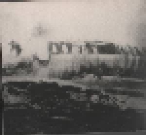 Die Toten Hosen: Crash Landing (CD) - Bild 4