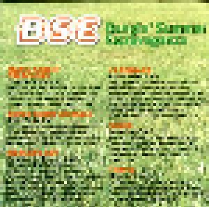 BSE Bangin' Summer Extravaganza (CD) - Bild 5