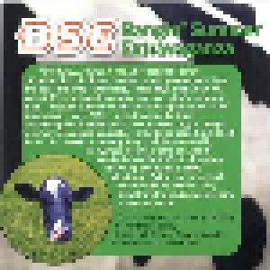 BSE Bangin' Summer Extravaganza (CD) - Bild 7