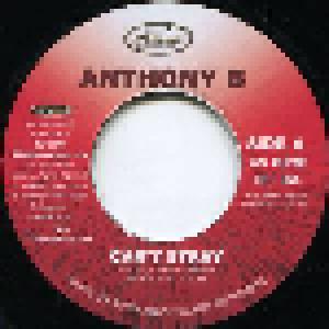 Anthony B: Can't Stray - Cover