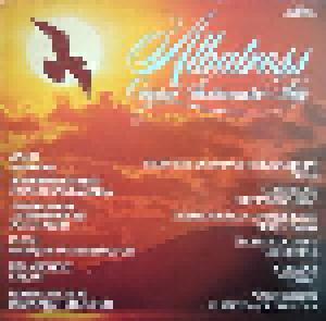 Albatross - Original Instrumental-Hits - - Cover