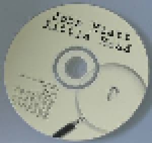 John Hiatt: Little Head (CD) - Bild 3