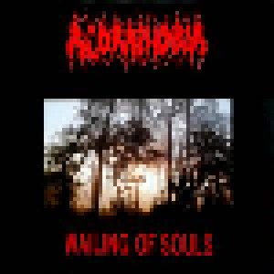 Cover - Agoraphobia: Wailing Of Souls