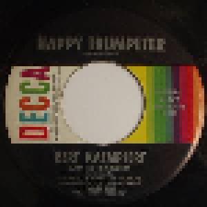 Bert Kaempfert & Sein Orchester: Happy Trumpeter - Cover