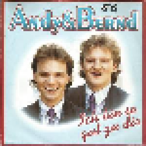 Andy & Bernd: Ich Bin So Gut Zu Dir - Cover