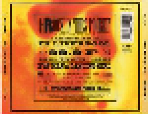 Suzanne Vega: 99.9 F° (CD) - Bild 2