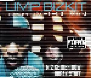 Limp Bizkit Feat. Method Man: N 2 Gether Now - Cover