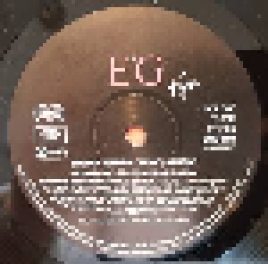 Bryan Ferry + Roxy Music: The Ultimate Collection (Split-LP) - Bild 3